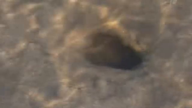 NaCl - что собственно вы знаете о соли? смотреть онлайн