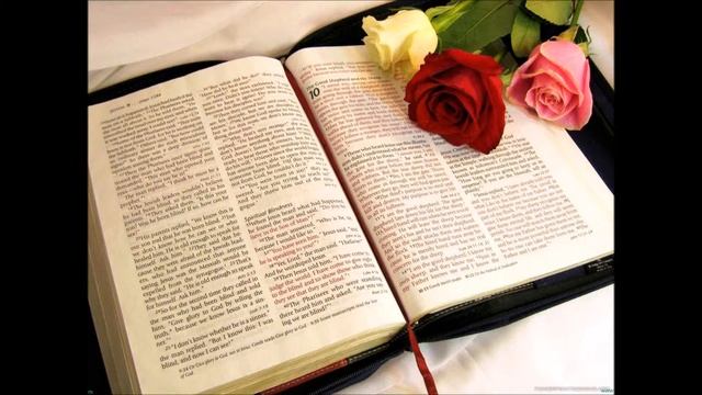 Премудрости Иисуса, сына Сирахова ГЛАВА 40 смотреть онлайн