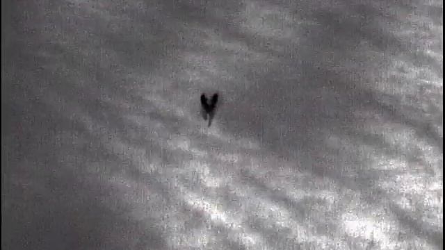 Helion XQ50 смотреть онлайн