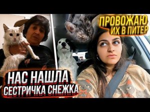 Бима и Аризону отправляем в Питер Мама ночью принесла сестричку Снежка подобранного с трассы.