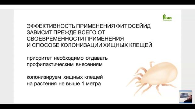 Как избавиться от ржавого томатного клеща в теплице? Мониторинг, средства и методы борьбы смотреть онлайн
