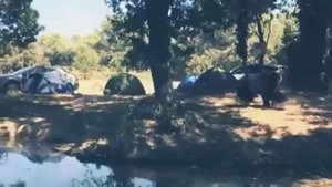 Разыграл в костюме медведя