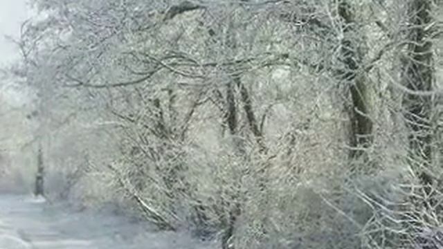 Дорога вдоль зимнего сада футажи для тебя. смотреть онлайн