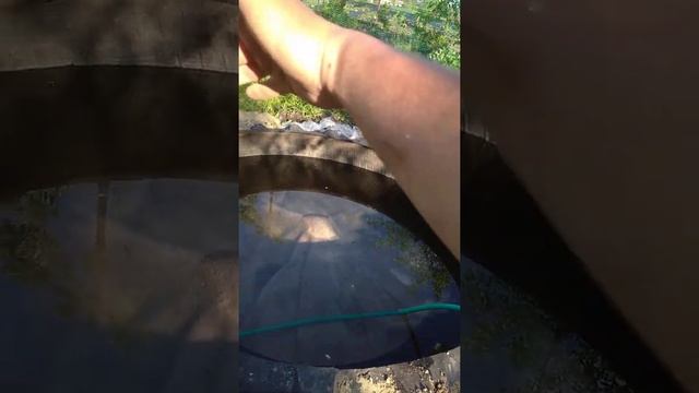 Садове озеро з старої покришки дешево та швидко. смотреть онлайн