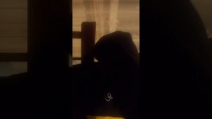 показываем Как вешать шишки на ёлку когда её купили искусственную