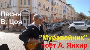2209 песня Муравейник Начинается новый день и машины туда сюда Виктор Цой Кино поёт Александр Янхир