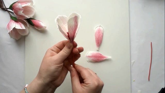 Магнолия из бумаги / Magnolia From  Paper
