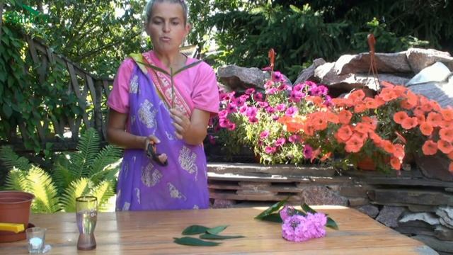 Как размножить флоксы черенкованием - 7 дач смотреть онлайн