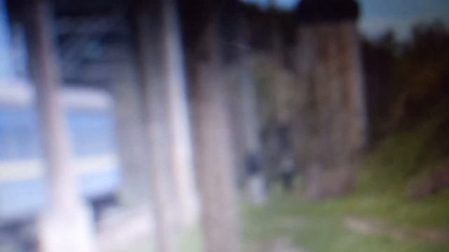 ВЛ40У-1488.2 з поїздом 143 Харків-Санкт-Петербург/Ніжин смотреть онлайн