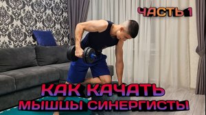 Как качать мышцы СИНЕРГИСТЫ