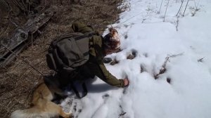 Как правильно построить солонцы! Нападение волков на солонец! Привет Саша Счастливый!