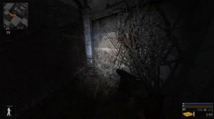 STALKER ОП 2.2 Тайник Кости на Янтаре.
