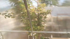 Отзыв покупателя о теплице из поликарбоната