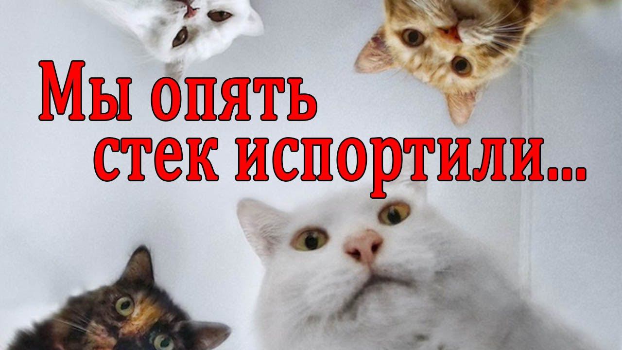 Покраска стека (области памяти) Keil uVision смотреть онлайн