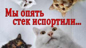 Покраска стека (области памяти) Keil uVision