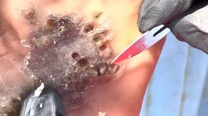 Rose’s last jigger digging MANY PULLLED OUT - watch juicy vid @riseupsociety.net (SUBSCRIBE)