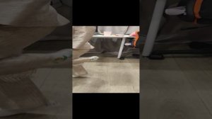 VID_20231202_194059.mp4