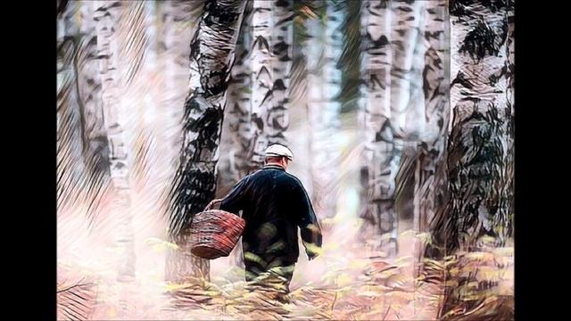 Душа погибшего вывела пенсионера из леса. Короткая история длинной ночи смотреть онлайн