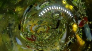 ПЛЕННИК ЧУЖОЙ! МНЕ ЧУЖОГО НЕ НАДО... АННА АХМАТОВА. ЛЮБИМЫЕ СТИХИ ЧИТАЕТ ОЛЬГА ШУБИНА 02.03.2021 18