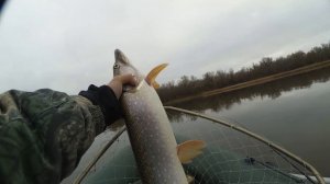 Рыбалка на спининг, река Дон, 10 ноября,Воронеж обл