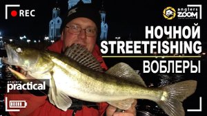 Ночной стритфишинг в Москве. Судак поздней осенью. А. Рыжов. Anglers Practical
