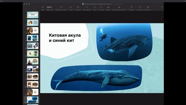 Вымышленные существа: животные мифов и реального мира смотреть онлайн