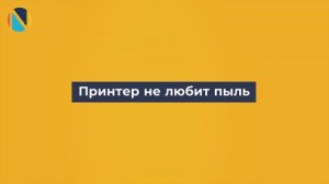 Советы по эксплуатации принтера | Как правильно пользоваться принтером