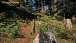Far Cry 5 - убить зайца