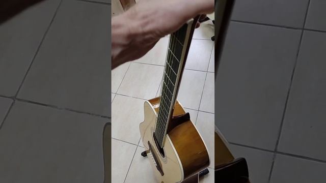 Акустическая гитара Fabio FAW-801 смотреть онлайн