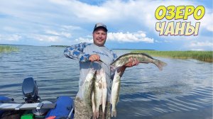 ПОПАЛИ НА КЛЕВ КРУПНОГО СУДАКА. ЛОВЛЯ СУДАКА НА СПИННИНГ НА ДЖИГ.