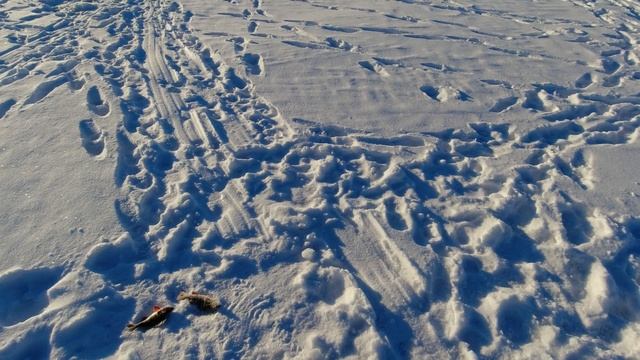 Рыбалка в логове горбачей!!! ОТКРЫТИЕ ЖЕРЛИЧНОГО СЕЗОНА. Любимое водохранилище. #рыбалка #первыйлед