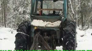 Черные лесорубы.