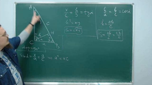 Всё про прямоугольный треугольник за 15 минут | Осторожно, спойлер! | Борис Трушин ! смотреть онлайн