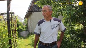 Весенние хлопоты на винограднике