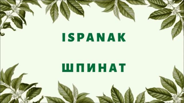 Турецкий язык для начинающих. Турецко- русский словарь