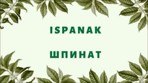Турецкий язык для начинающих. Турецко- русский словарь