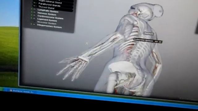 AMD E-350 パフォーマンス XP смотреть онлайн