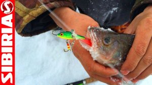 Самый уловистый БАЛАНСИР #3  Российские балансиры МЕРКУРИ обзор приманок для зимней рыбалки