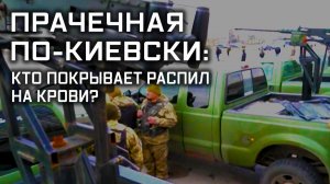 Прачечная по-киевски: кто покрывает распил на крови?