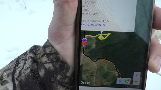Заезд на промысловую охоту. Поиск соболя с лайками. Первый трофей.