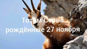 Тотем Серна рождённые 27 ноября