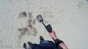 Minelab Go Find 66 metal detector. Lake Beach Metal Detecting Video Test 3