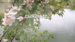 Биология 7 класс, § 5 "Тип амёбовые"