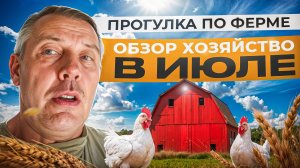 Обзор хозяйства в ИЮЛЕ: уток пора убирать, гуси подросли, телки стали ручными 🦆🐓🐑🐐"Мое Подворье"