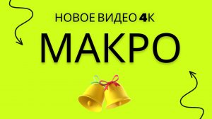 Макросъёмка в 4К