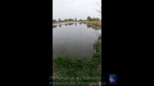 Завидую такому улову.