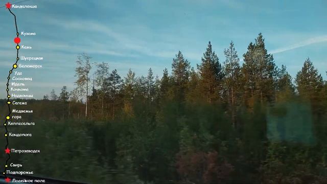 Карелия из окна поезда. Стук колес. Кандалакша-Беломорск. Russia from train. Karelia. Train sound