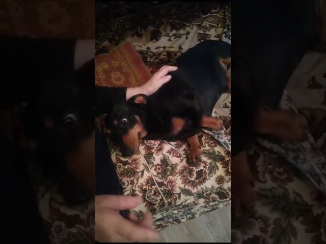 27 октября 2023 г. смотреть онлайн