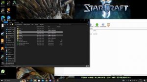 Как установить STARCRAFT MASS RECALL