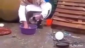 ,узбекские кино хочу смотрет